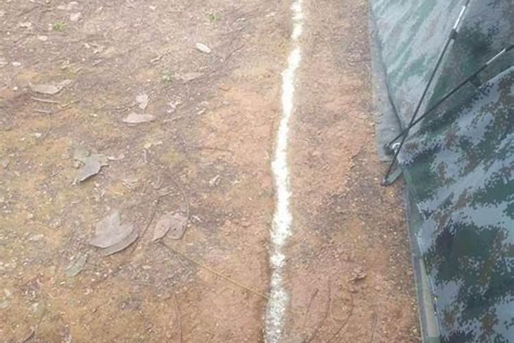 碱性土壤用什么肥料比较好