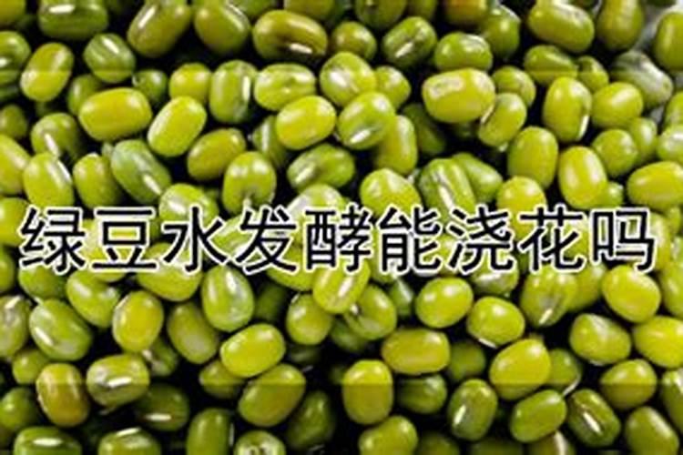 自制浇花肥料水