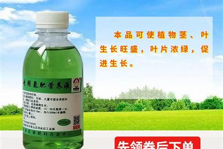 尿素化水可以浇树苗吗