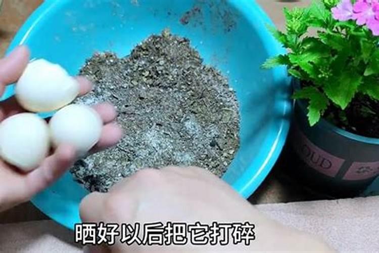 营养土多久后需要施肥