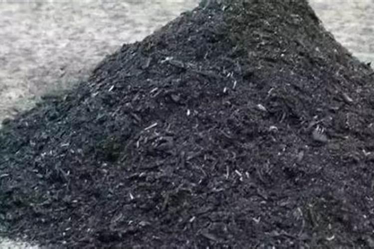 自家果园桃子出现裂果,应该如何治理？