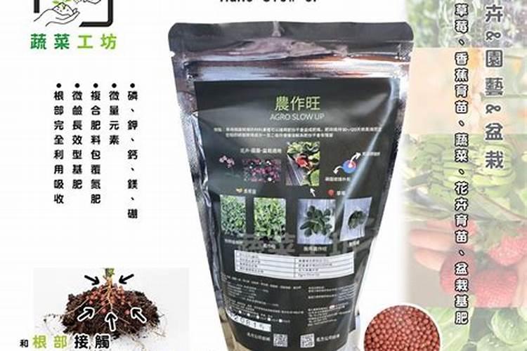 大蒜年前能不能浇水 大蒜年前需要浇几次水