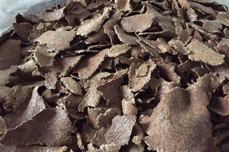 三角梅开花时能施肥吗 三角梅开花上什么肥