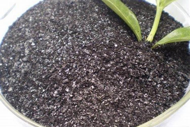 腐植酸叶面肥喷施还用不用加锌肥？