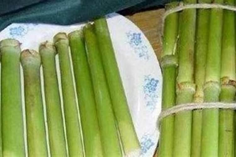 甘蔗用什么肥料比较甜 施肥要点有哪些