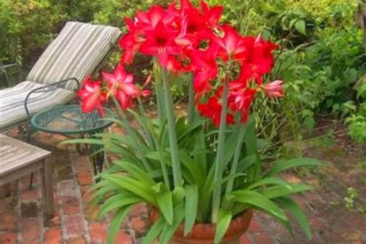 深呼吸的好处有哪些？