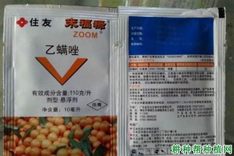 打红蜘蛛的有哪些药？
