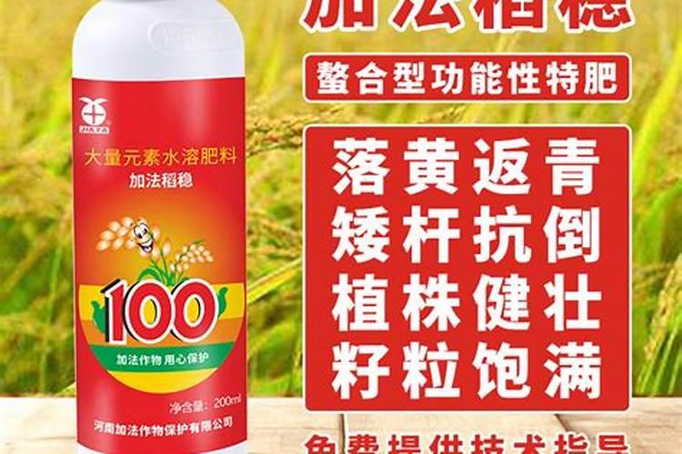 辣椒移栽后用什么肥提苗