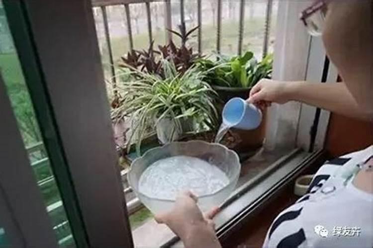 自制肥水最佳配方