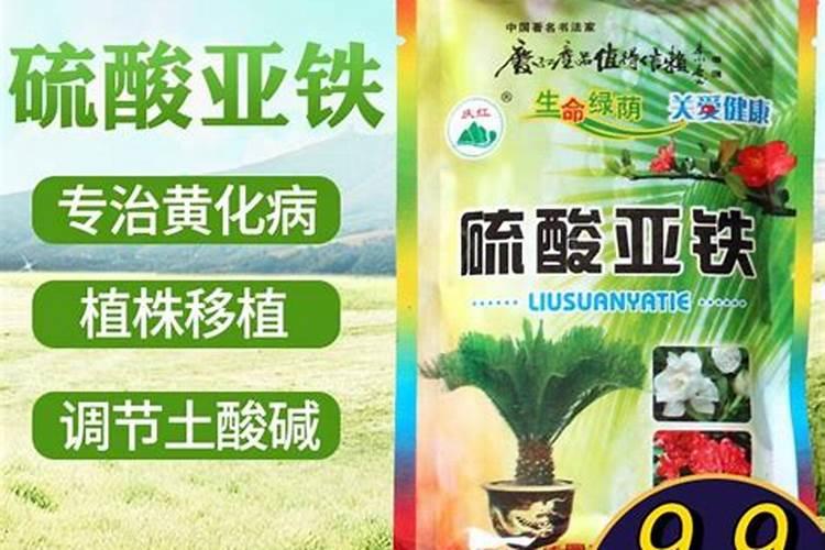 硫酸铁肥料喷到叶面上为什么吗叶子变黑？