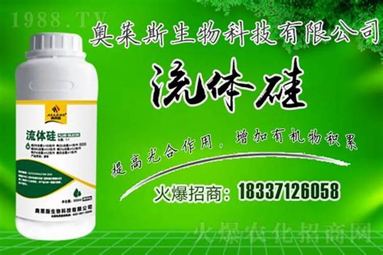 小麦灌浆期还需要喷施硅肥吗每亩用多少克