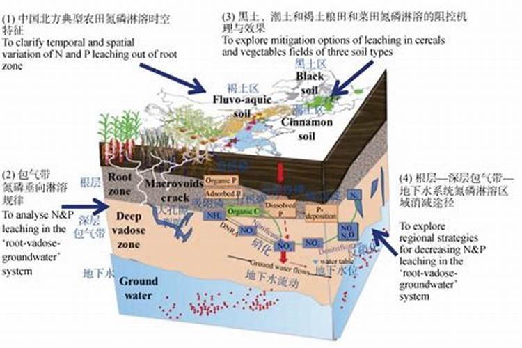 氮肥的使用与注意事项