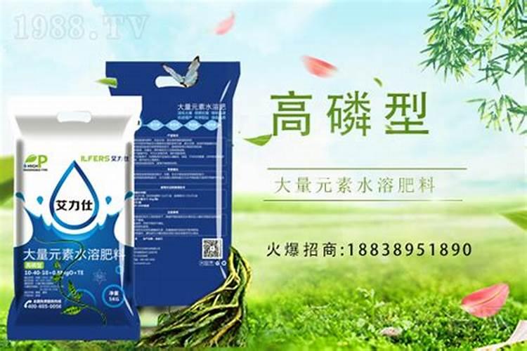 桃树施什么肥料桃子甜 如何施肥效果好