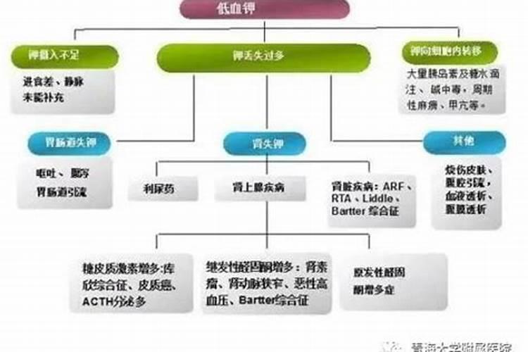 人体缺钾会有什么症状, 危害？