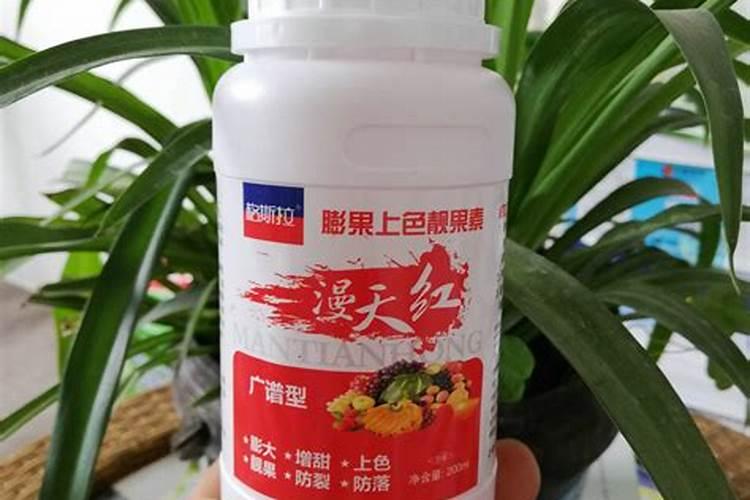 膨果期的葡萄打什么叶面肥能让果子大颜色好？
