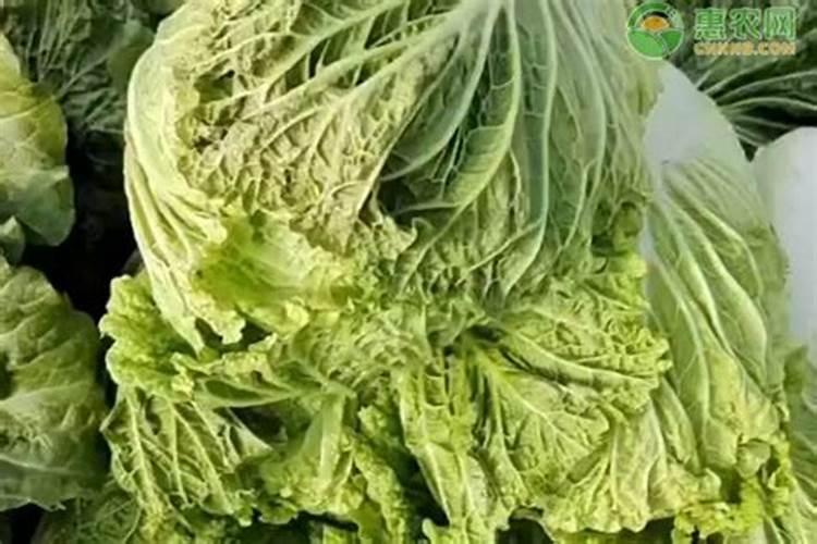 桃树落果用什么药防治？