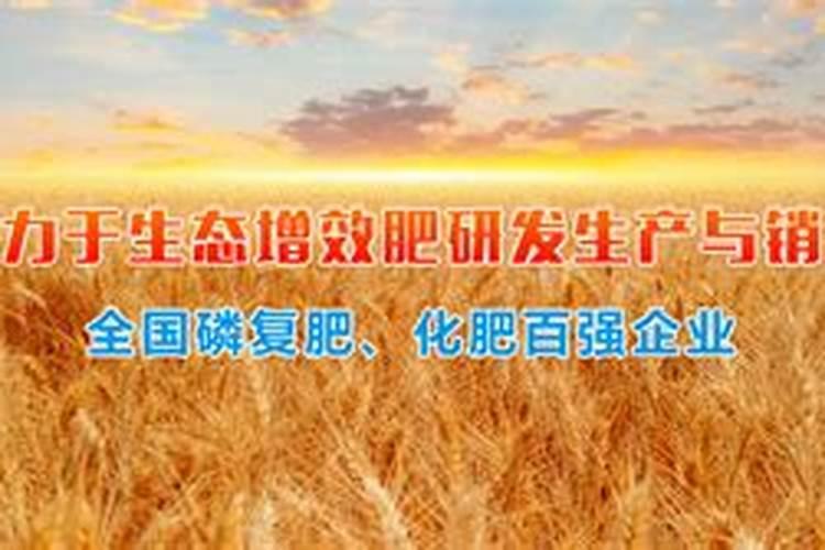 山东菏泽金牛肥业有限公司怎么样？