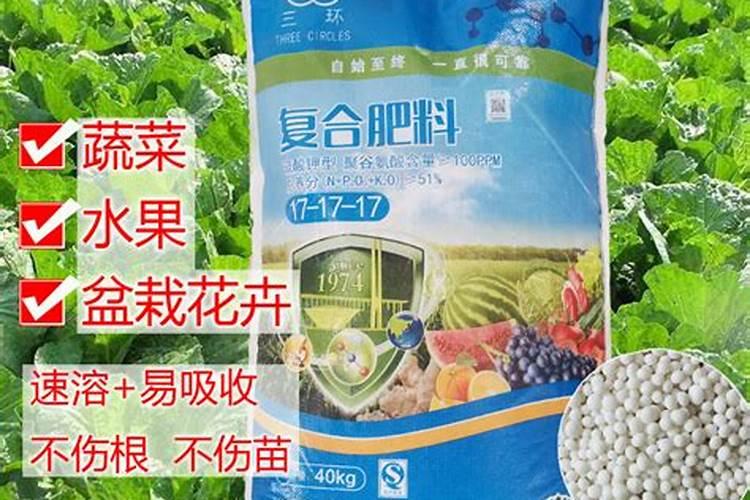 过冬菜花的种植时间及管理技术(越冬花菜什么时候种植)