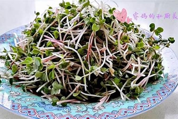 萝卜苗叶子打药枯萎怎么办？