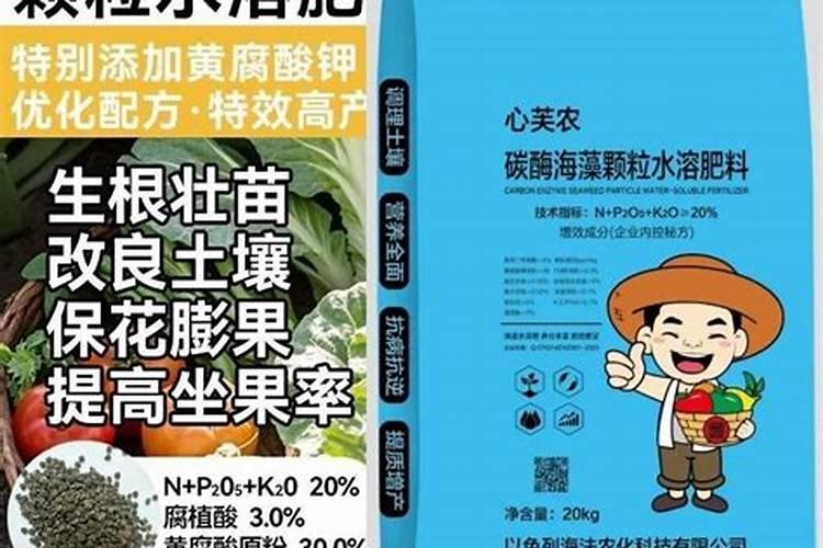 山东饲料厂有哪些