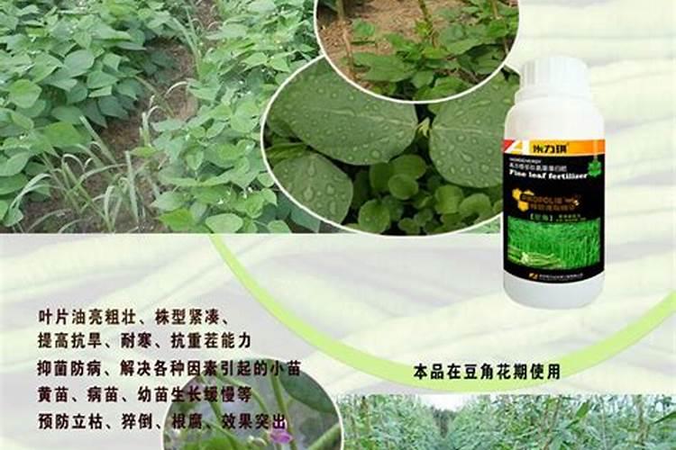 豆角追肥用什么配方的好