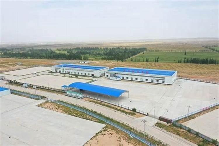 碗莲水溶肥的使用方法