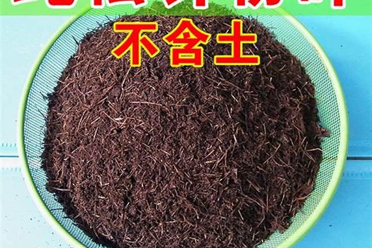 红掌黄叶是怎么回事？该怎么补救？