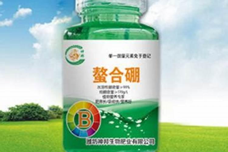 为什么夏天种植辣椒要补硼？硼有什么用？