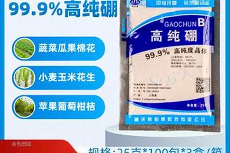 大樱桃树苗移栽成活率提高办法