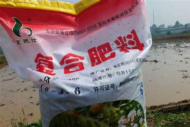 种玉米如何施底肥？