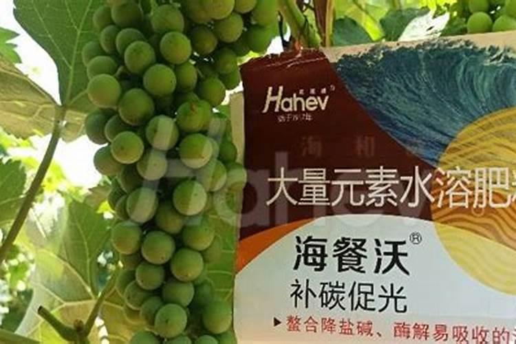 葡萄喷哪种叶面肥比较好？
