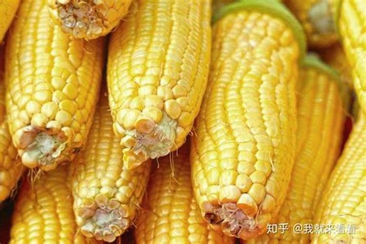 种玉米掺混肥好还是复合肥好
