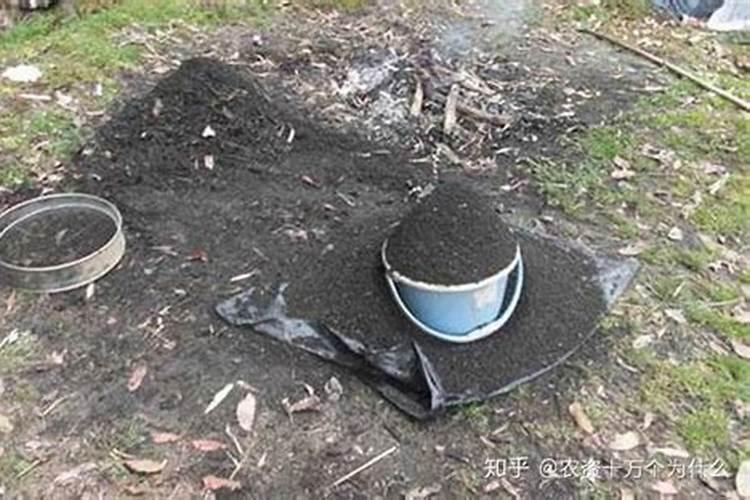 撒过草木灰之后可以加肥料吗？