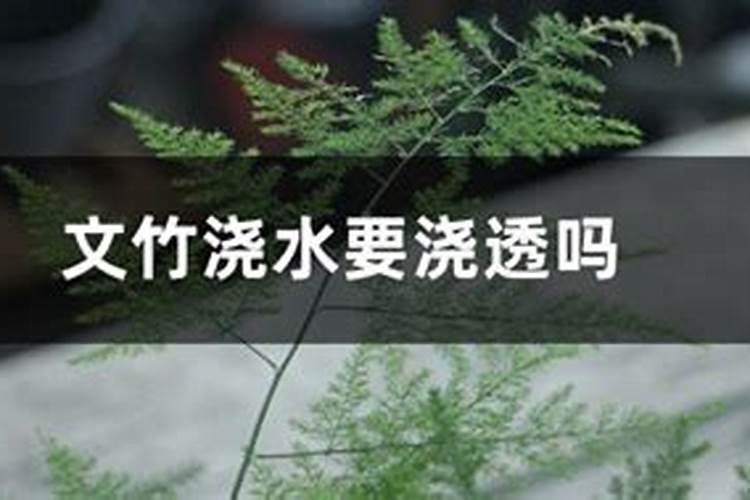 水溶肥需要浇透吗