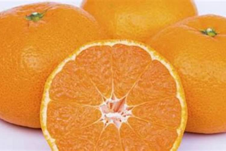 桔子树用什么肥料最好