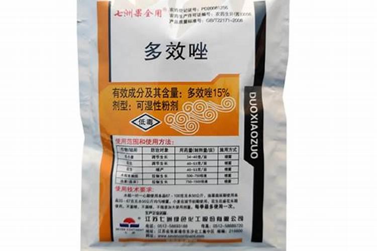 沃柑膨果期管理要点 沃柑养殖方法总结