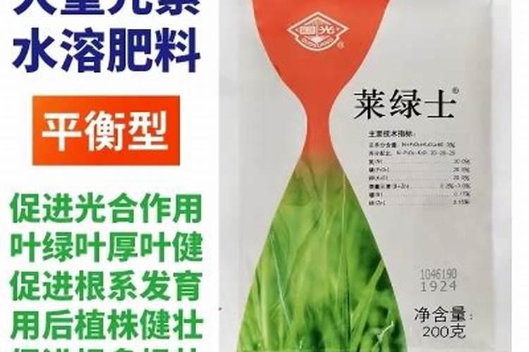 三角梅病虫害防控方法