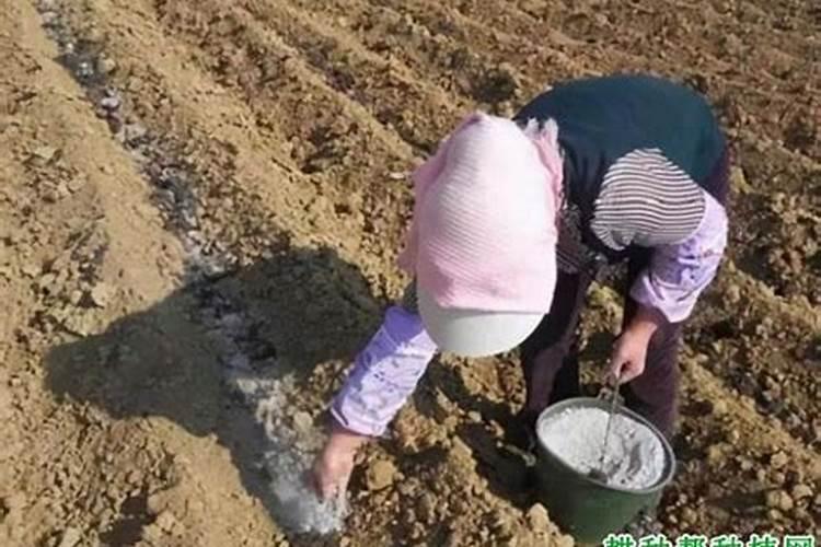 稀土磷肥和过磷酸钙有什么区别？