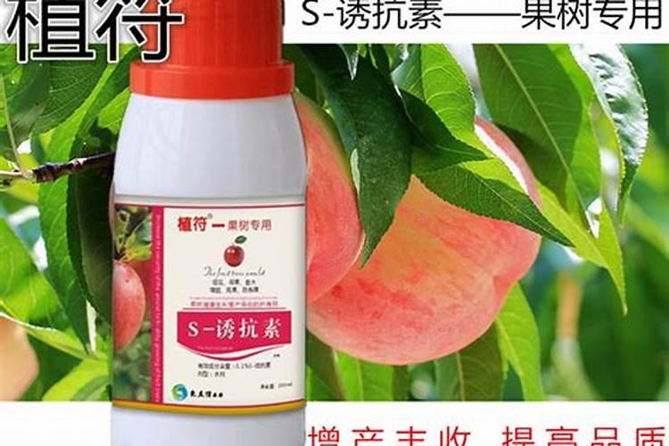 荔枝专用叶面肥什么好