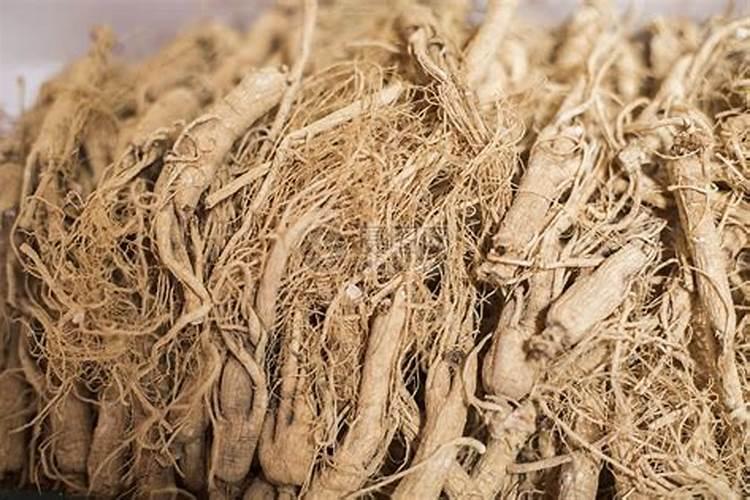 种丹参用什么肥料最好