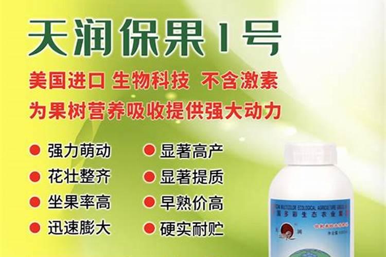 桂味荔枝栽培技术