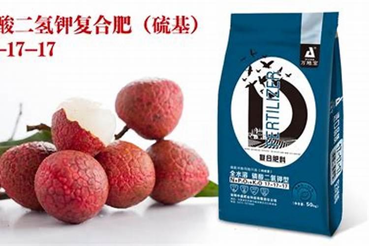 用什么叶面肥可以使荔枝熟得颜色好