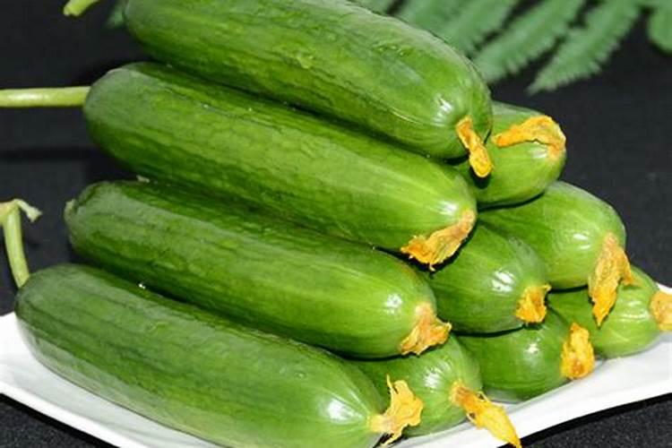 小青瓜结有鸟蛋大了。开口了什么原因