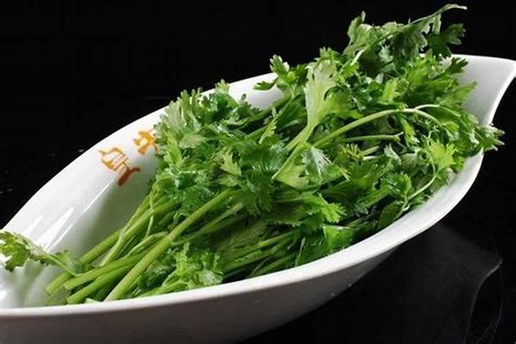 撒什么肥料能使香菜变深绿色