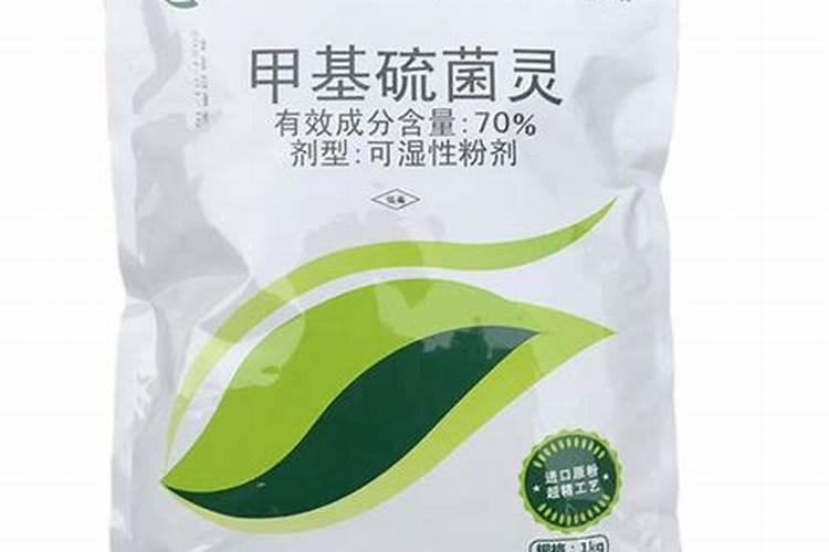 怎么治疗番茄黄萎病