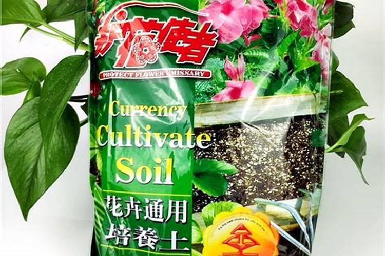 盆花用磷钾肥哪种好？
