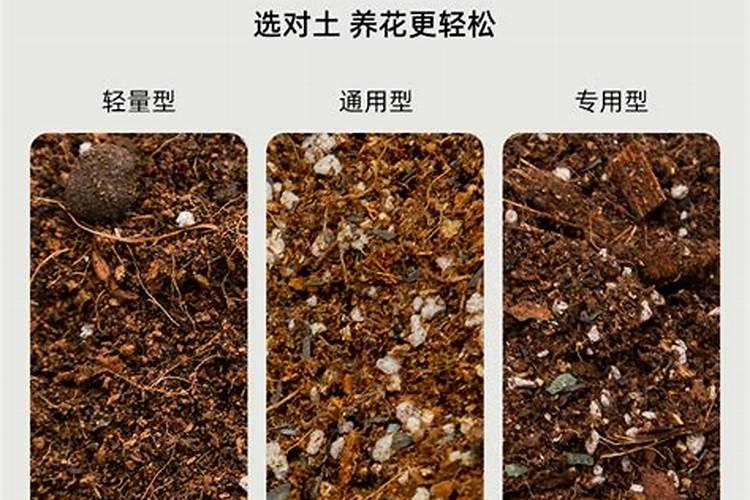 通用肥有什么不同 家庭养花十大最好花肥