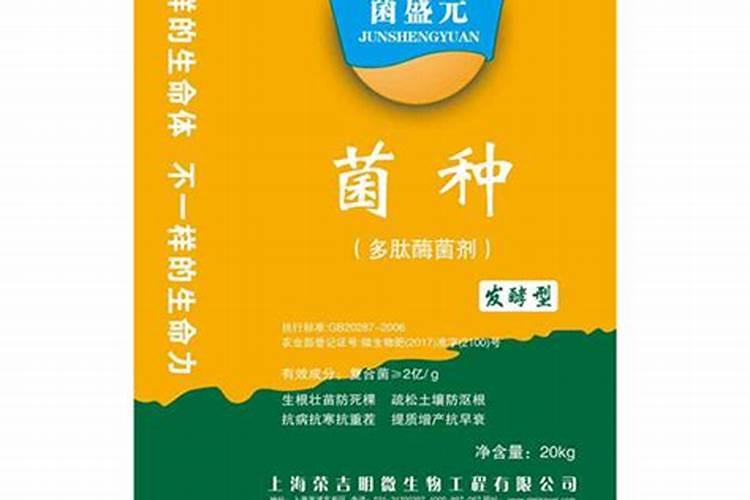 芝麻饼不发酵能用吗