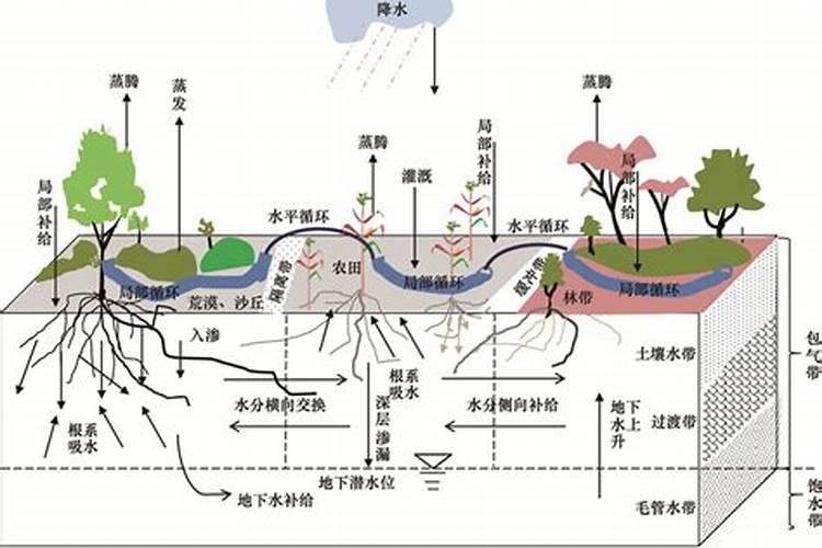复合肥能溶解水中冲施吗