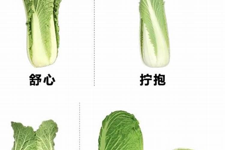 白菜什么时间打螯合钙？
